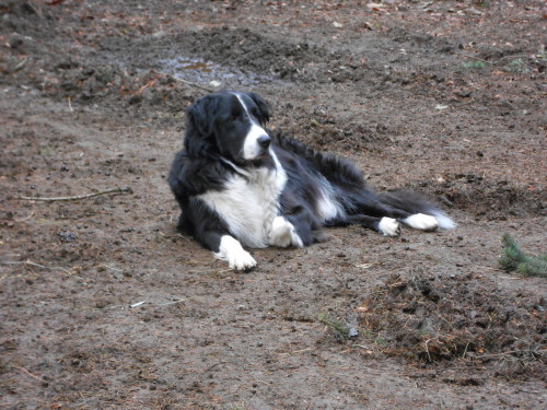 February Patient of the Month