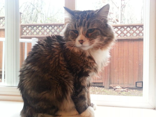 December Patient of the Month