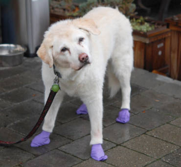 January Patient of the Month