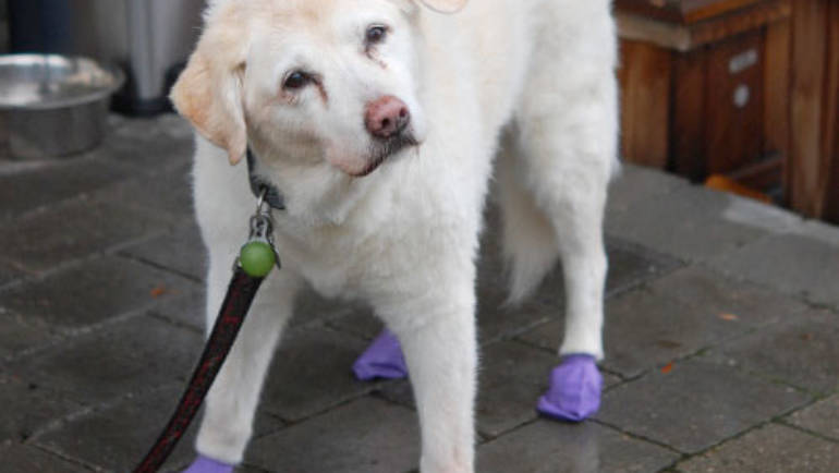 January Patient of the Month