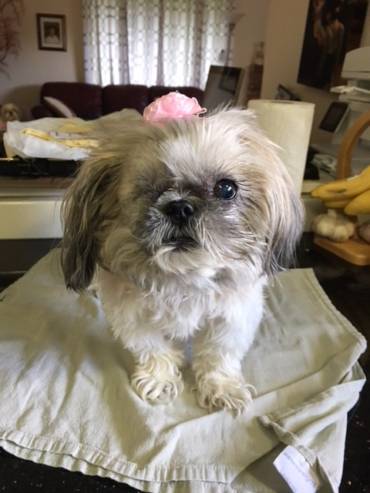 October 2017 – Patient of the Month