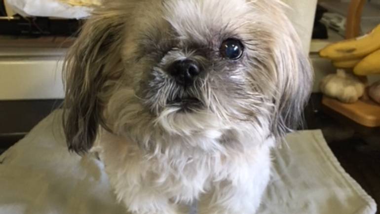 October 2017 – Patient of the Month