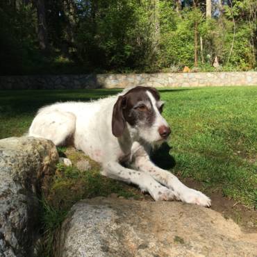 Patient of the Month – May 2018