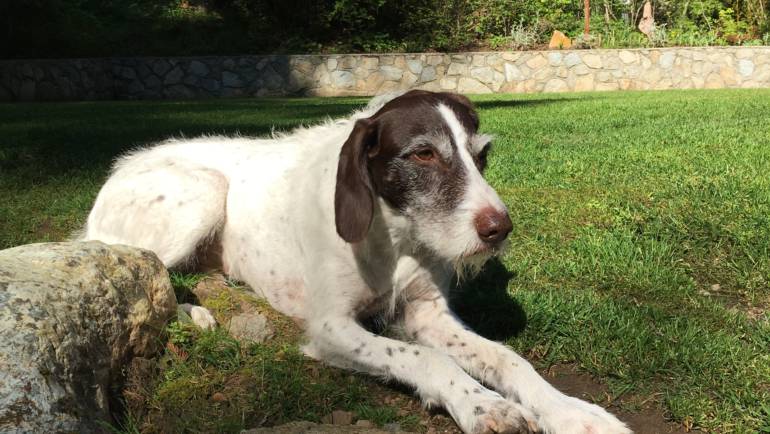 Patient of the Month – May 2018