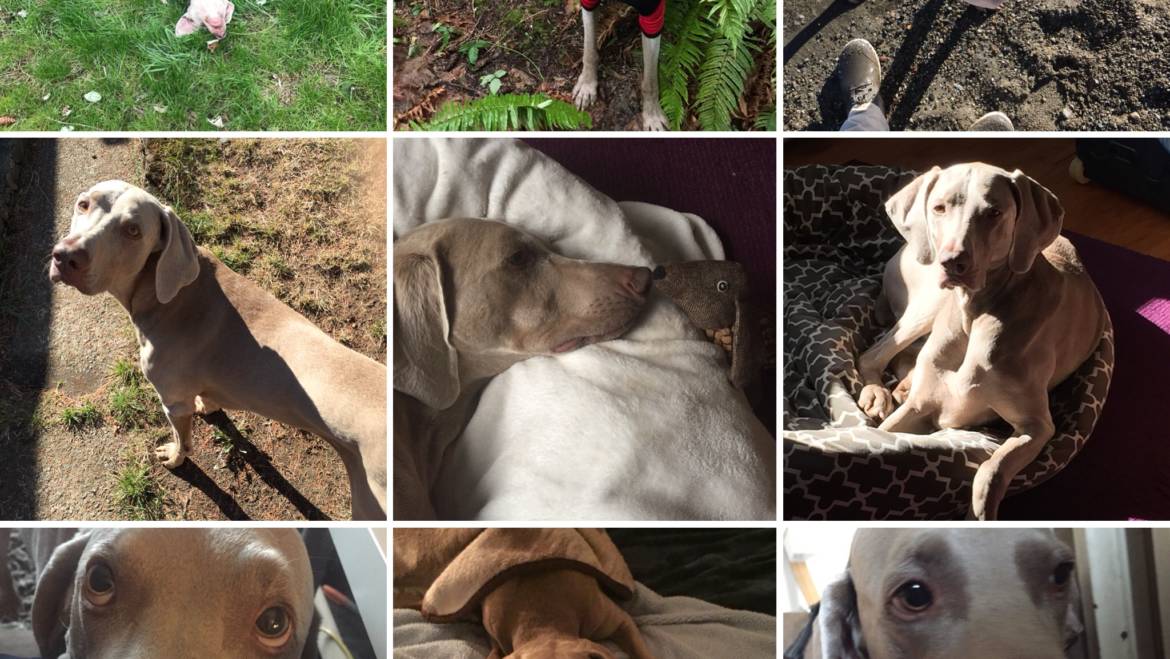 Patient of the Month (Part 1) – July 2018