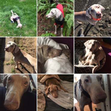 Patient of the Month (Part 1) – July 2018