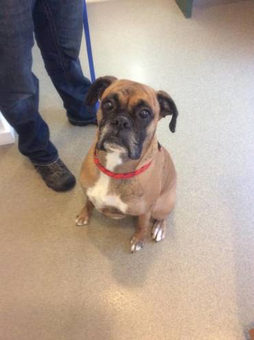 Patient of the Month (Part 2) – July 2018