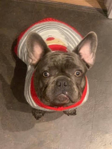 Featured Patient – Morris