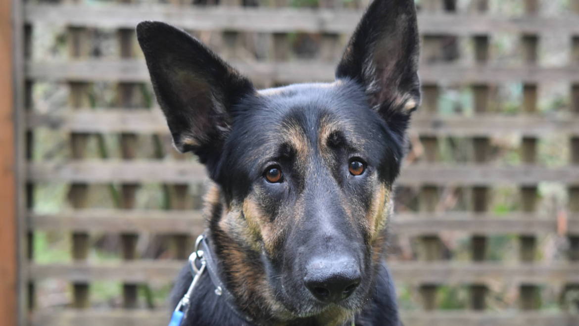 Featured Patient – Highway