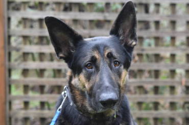 Featured Patient – Highway