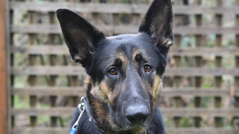 Featured Patient – Highway